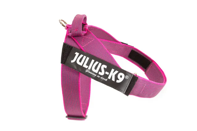 julius-k9-idc-color-gray-beltgeschirr-hundegeschirr-mit-griff-und-klettpatsch-gr image 1