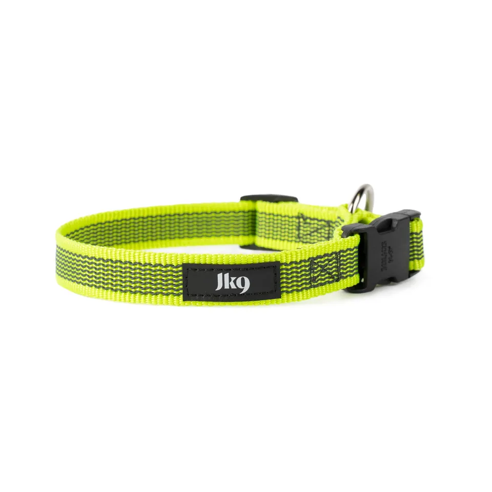 julius-k9-color-gray-halsband-220cg-ne-20-mm-x-27-42-cm-neon-grau-robustes-nylon image 1