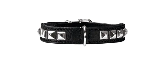 hunter-rocky-petit-hundehalsband-f-r-kleine-hunde-schwarzes-rindnappaleder-mit-n image 1