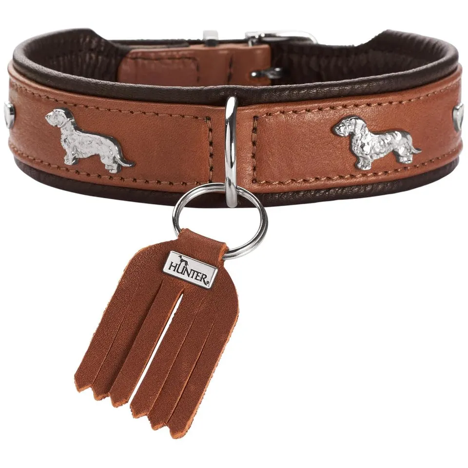 hunter-m-nchen-teckel-halsband-cognac-schwarz-chromfreies-premiumleder-dackel-ap image 1
