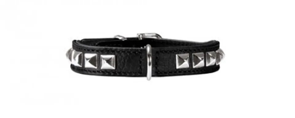 hunter-rocky-petit-hundehalsband-f-r-kleine-hunde-weiches-nappaleder-mit-nieten- image 1