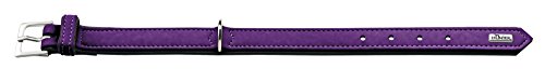 hunter-softie-hundehalsband-kunstleder-in-nubuk-optik-violett-gr-e-40-xs-s-28-34 image 6