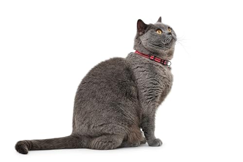 hunter-flashlight-katzenhalsband-elastisch-mit-reflektierenden-streifen-und-gloc image 4