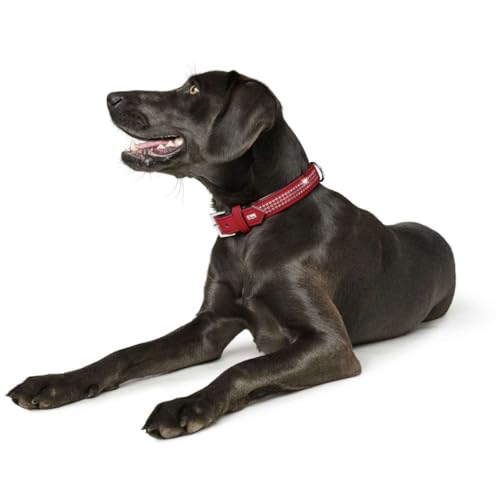 hunter-softie-triluxe-hundehalsband-kunstleder-mit-strasssteinen-verstellbar-37- image 8