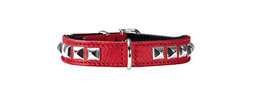 hunter-rocky-petit-hundehalsband-f-r-kleine-hunde-rindnappaleder-mit-nieten-besa image 3