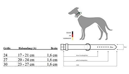 hunter-rocky-petit-hundehalsband-f-r-kleine-hunde-rindnappaleder-mit-nieten-besa image 5