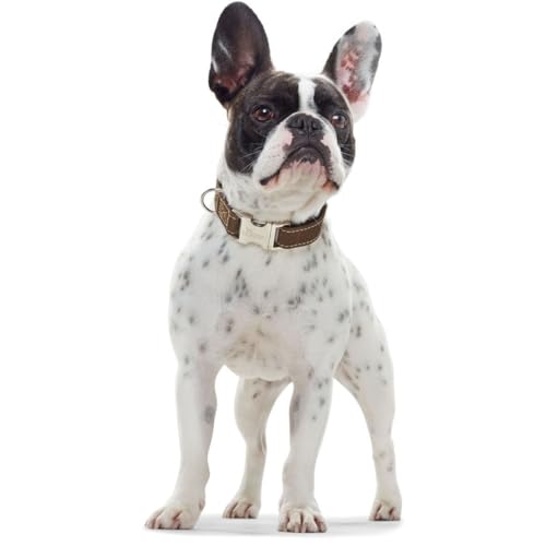 hunter-hunting-alu-strong-hundehalsung-lederoptik-halsband-aus-nubukleder-mit-al image 4