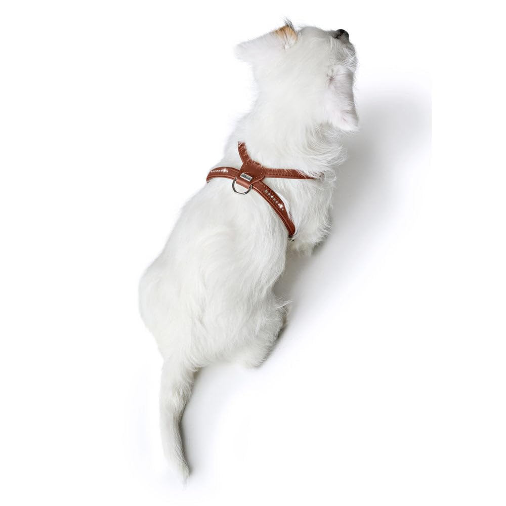 hunter-round-soft-canadian-up-hundegeschirr-weiches-leder-cognac-rundgen-ht-fell image 6
