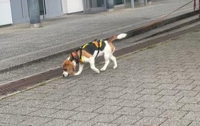 Sehr gut, Größenberatung beachten