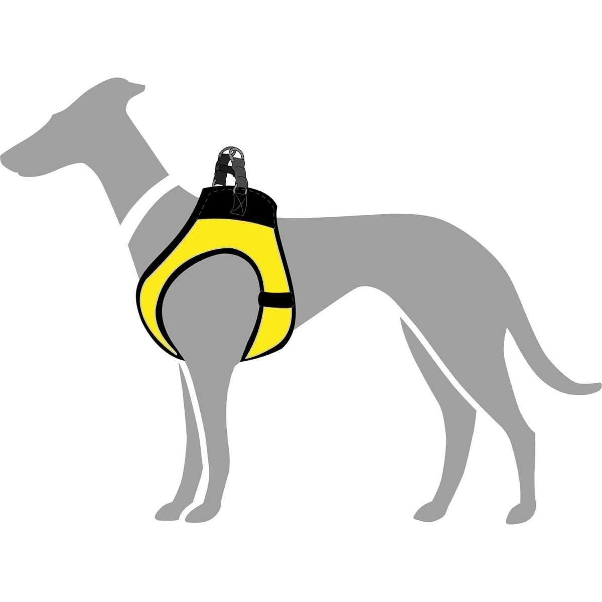 hunter-hilo-comfort-bvb-hundegeschirr-xxs-3d-mesh-mit-k-hl-effekt-3m-scotchlite- image 6