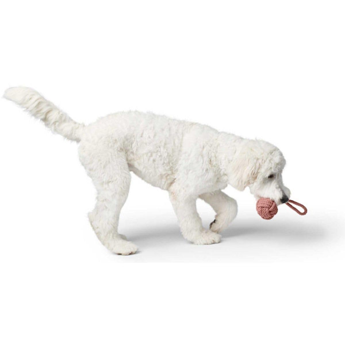 hunter-inari-hundespielzeug-tau-schleuderball-100-baumwolle-mit-handschlaufe-pas image 3