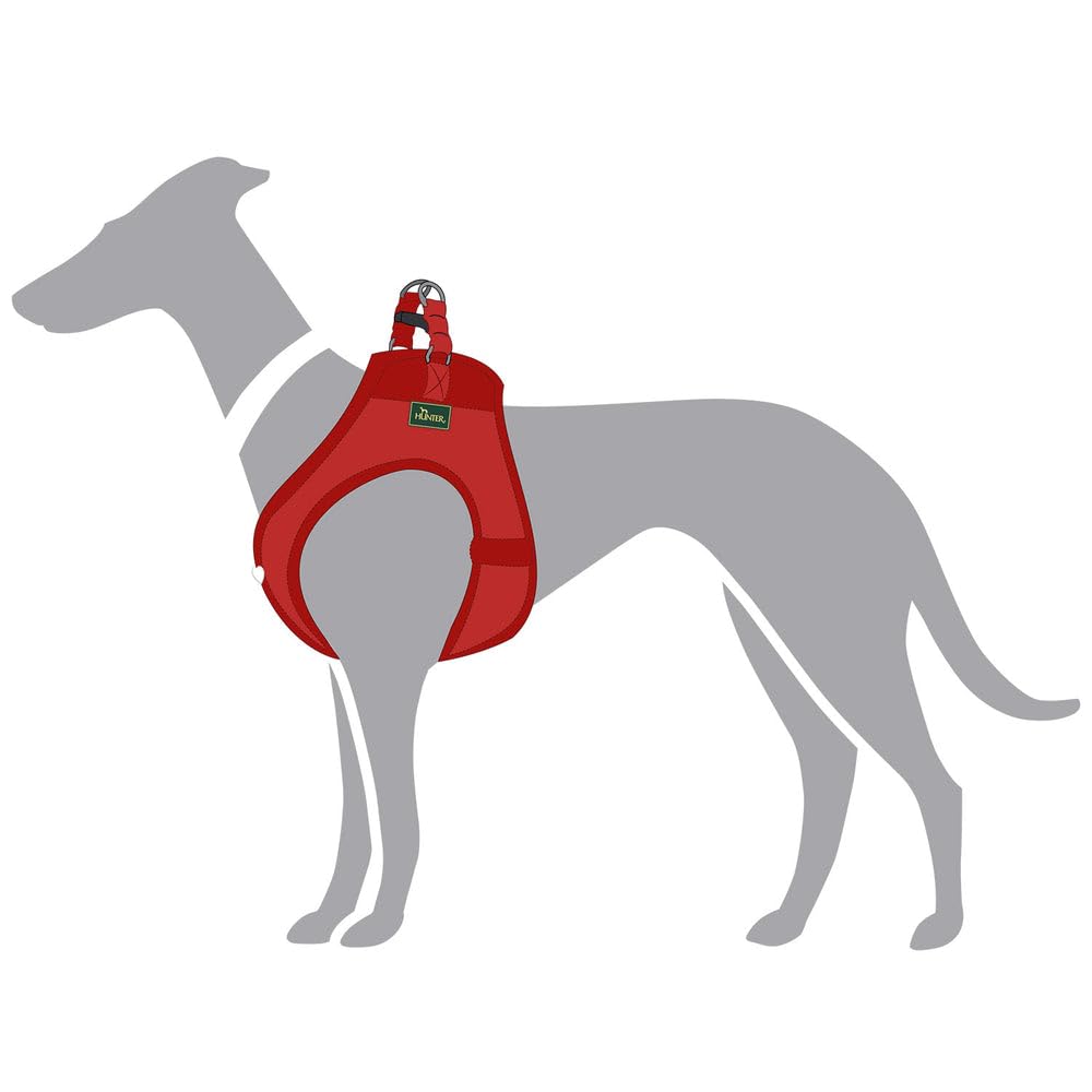 hunter-love-hundegeschirr-step-in-geschirr-aus-rindnappaleder-mit-mesh-futter-ha image 5