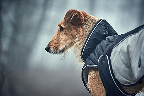 hunter-uppsala-extreme-hundemantel-gr-e-30-wintermantel-mit-3m-thinsulate-wasser image 7