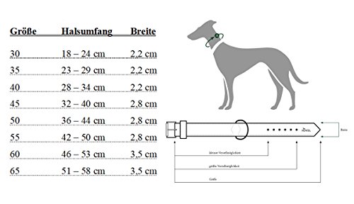 hunter-softie-hundehalsband-kunstleder-in-nubuk-optik-violett-gr-e-40-xs-s-28-34 image 8