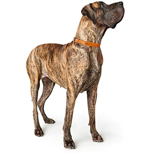 hunter-cannes-alu-strong-hundehalsband-weiches-rindnappaleder-aluminium-steckver image 4