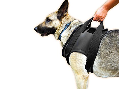 julius-k9-neopren-gehhilfe-geschirr-f-r-hunde-r-ckw-rtige-unterst-tzungshilfe-br image 8