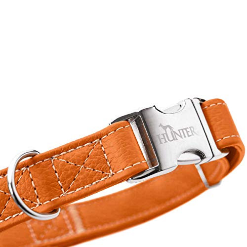 hunter-cannes-alu-strong-hundehalsband-weiches-rindnappaleder-aluminium-steckver image 3