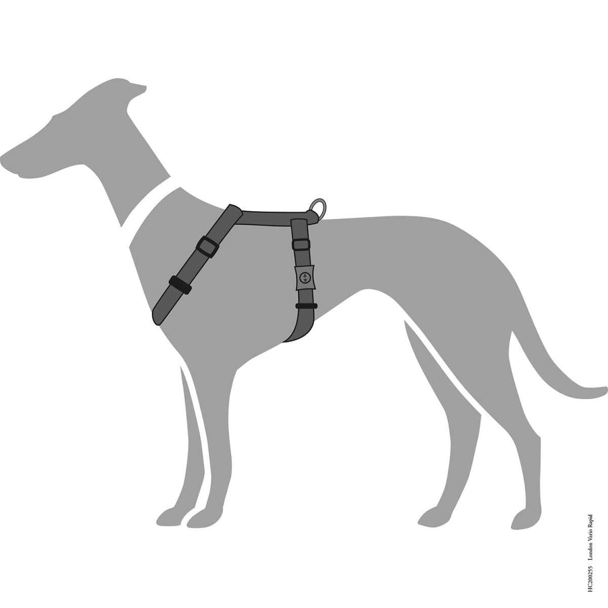 hunter-london-vario-rapid-hundegeschirr-anthrazit-gr-e-mini-xxs-hals-14-20-cm-ba image 4