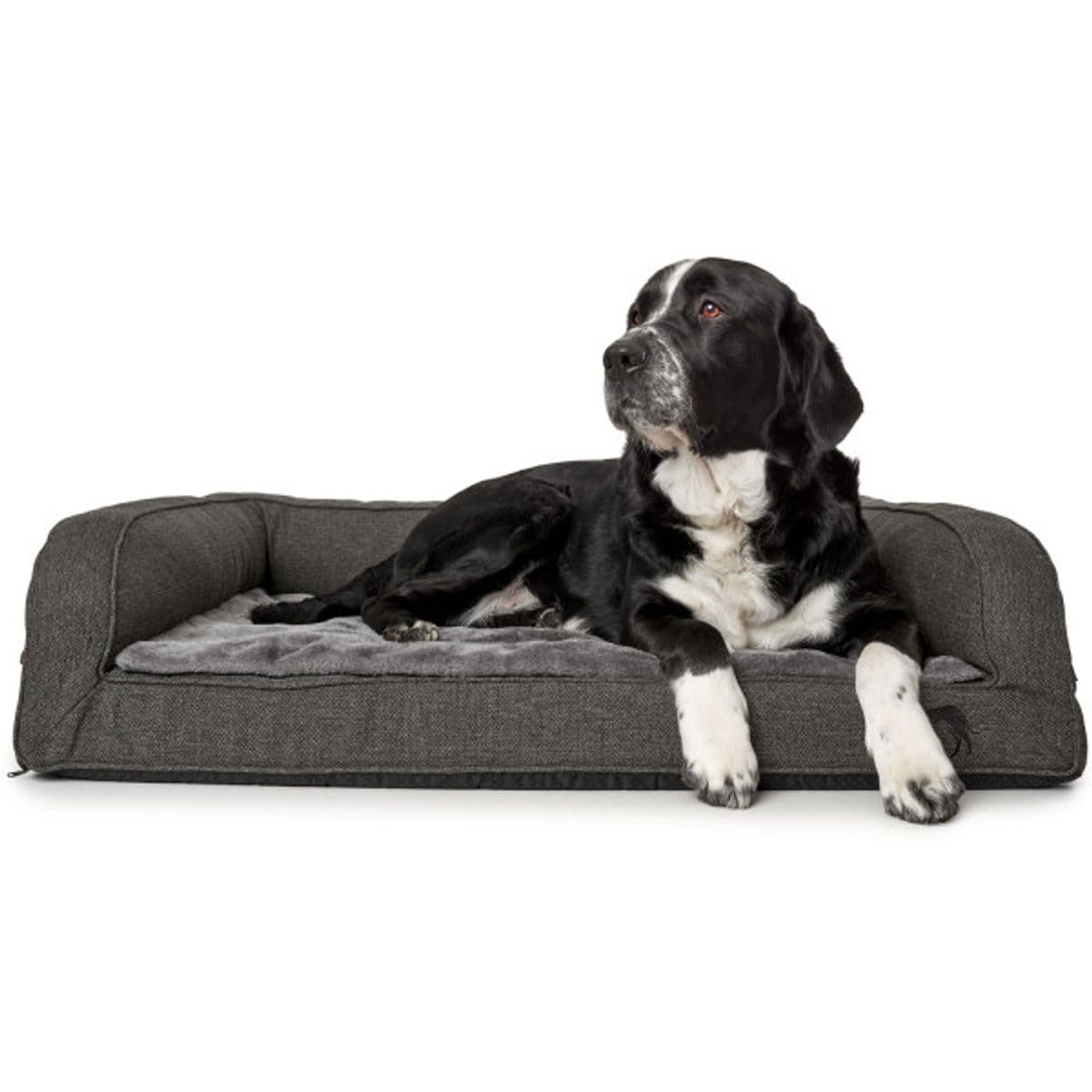 hunter-livingston-orthop-disches-hundesofa-mit-memoryschaum-gr-e-m-80-x-60-cm-an image 8
