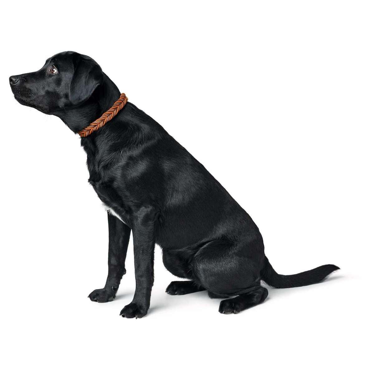 hunter-solid-education-cord-hundehalsband-gr-e-40-handgeflochtenes-rindsleder-mi image 6