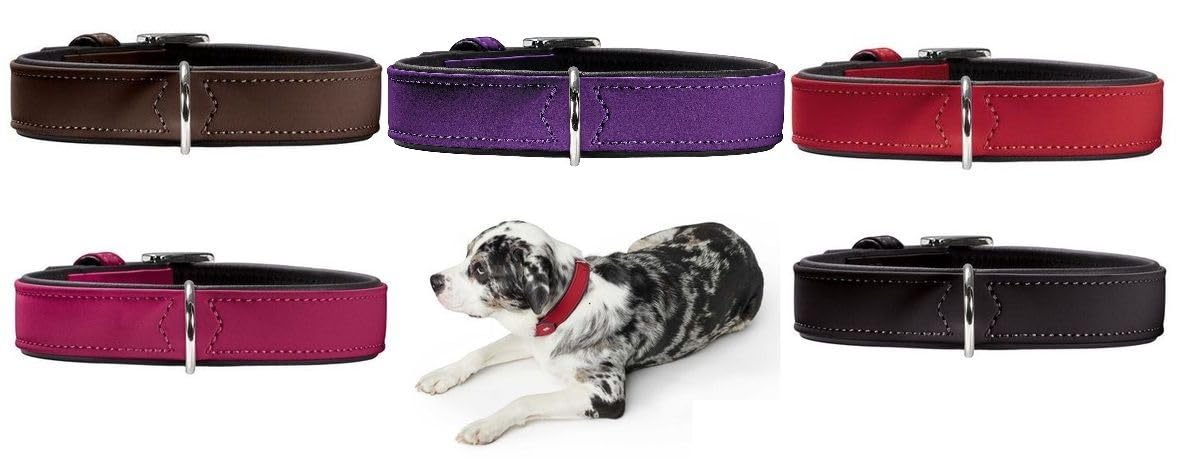 hunter-softie-hundehalsband-kunstleder-in-nubukoptik-schlichtes-design-pflegelei image 3