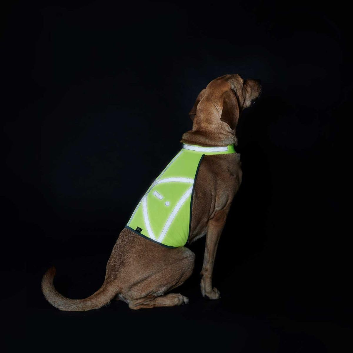 hunter-warnweste-f-r-hunde-gr-e-s-reflektierende-sicherheitsweste-verstellbar-wa image 4