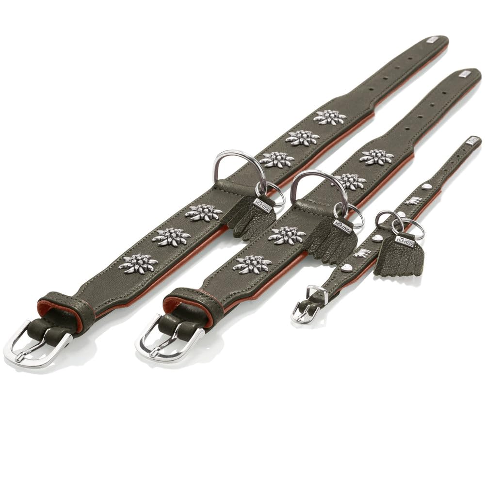 hunter-hundehalsband-m-nchen-mini-cognac-schwarz-leder-f-r-kleine-hunde-welpen-g image 8