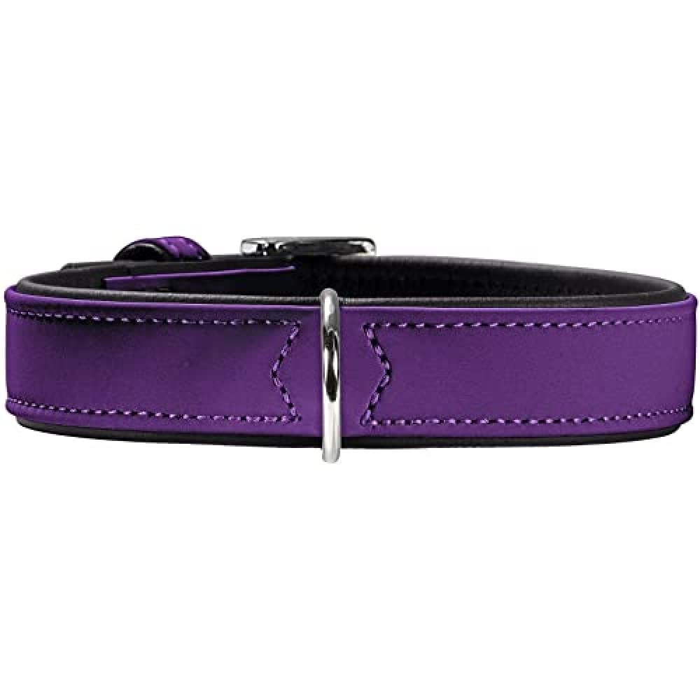 hunter-softie-hundehalsband-kunstleder-in-nubukoptik-schlichtes-design-pflegelei image 5