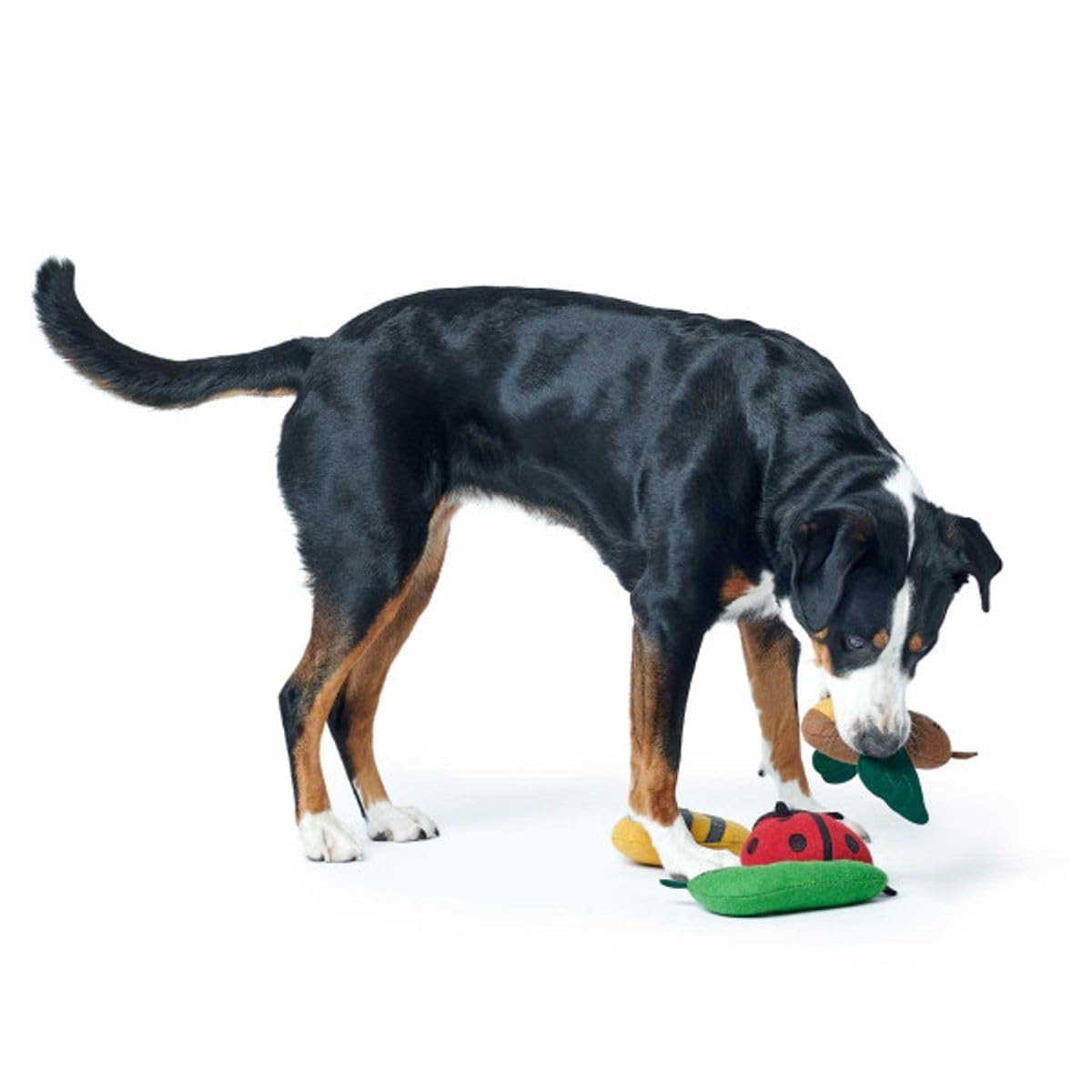 hunter-hundespielzeug-florenz-biene-29-cm-ohne-squeaker-aus-recycelten-materiali image 6