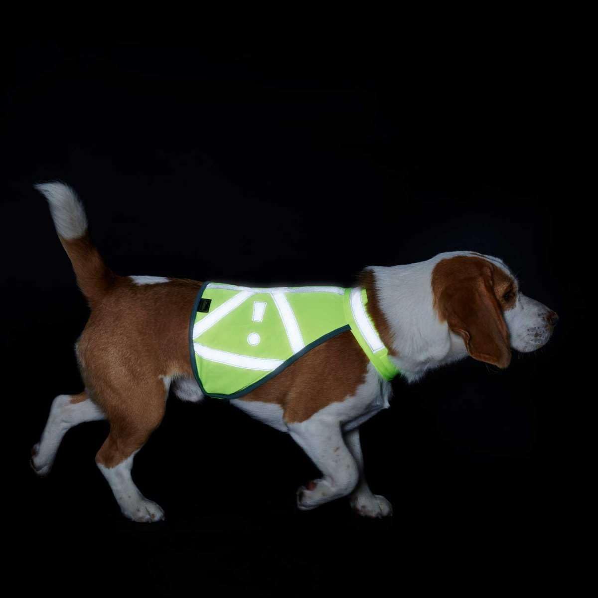 hunter-warnweste-f-r-hunde-gr-e-s-reflektierende-sicherheitsweste-verstellbar-wa image 5
