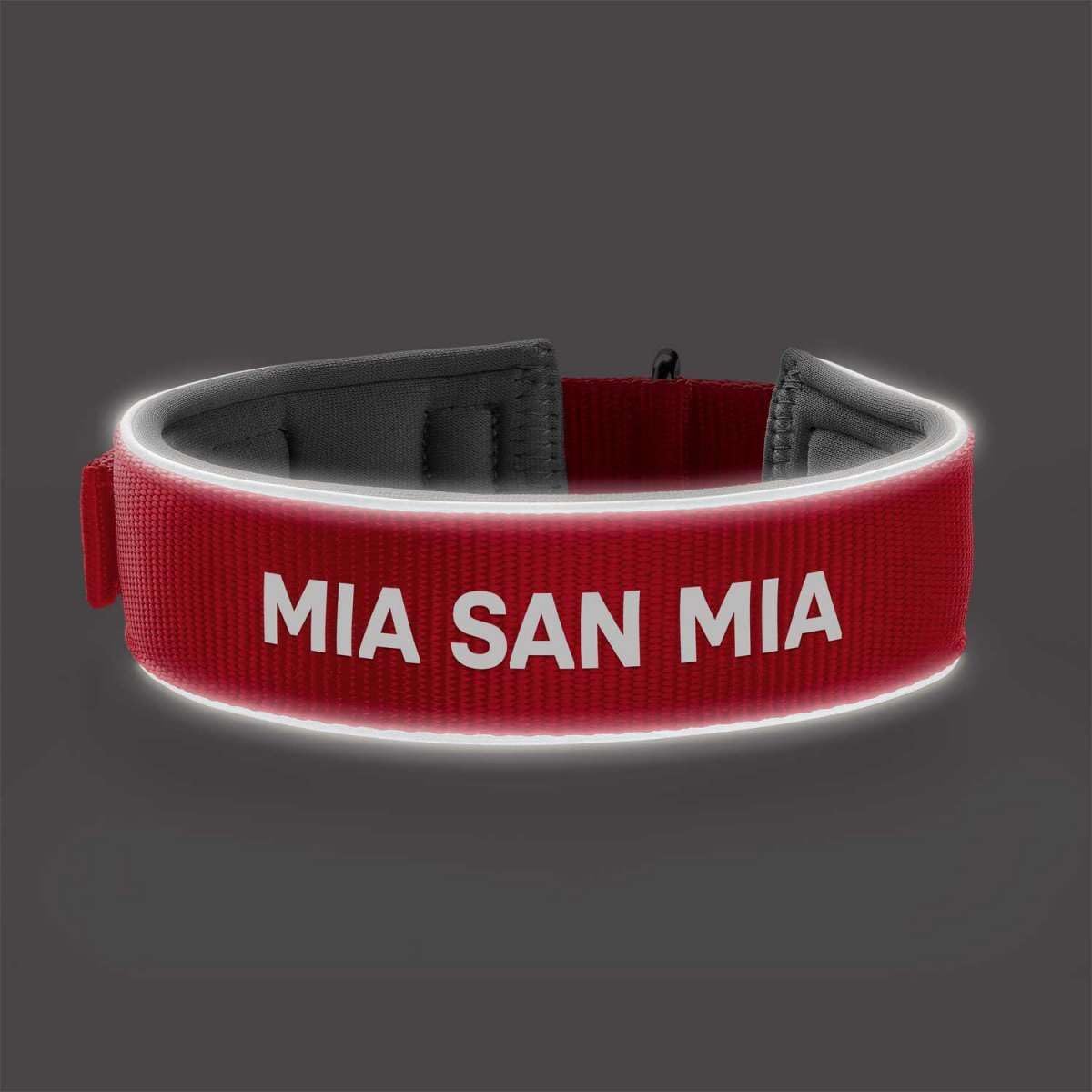 hunter-neopren-reflect-fc-bayern-m-nchen-hundehalsband-weich-gepolstert-gr-e-s-m image 2