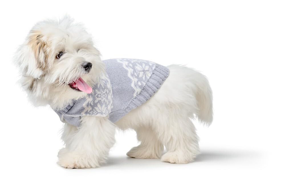 hunter-birka-hundepullover-warmer-strickpullover-aus-chenille-garn-rollkragen-no image 8