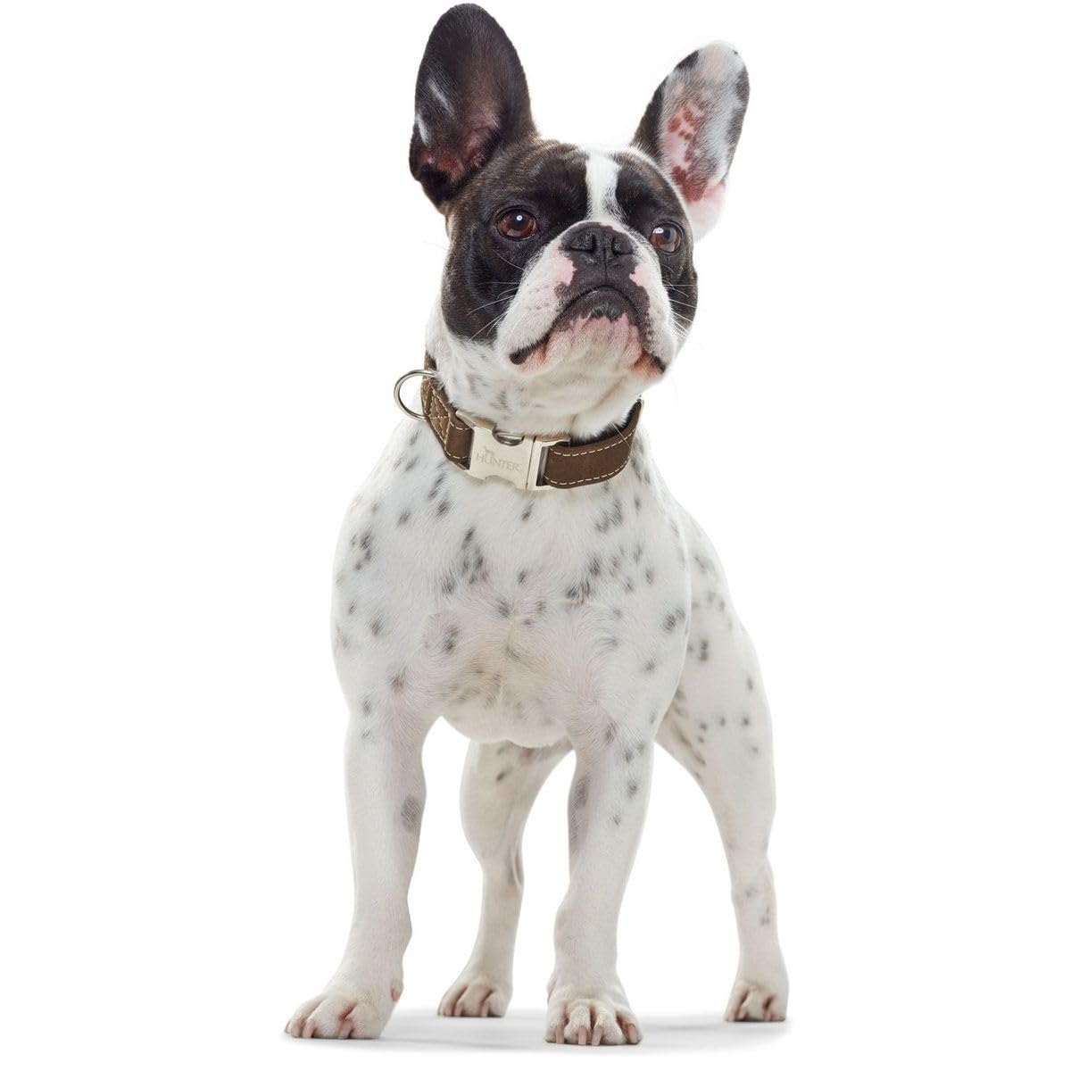 hunter-hunting-alu-strong-hundehalsung-lederoptik-halsband-aus-nubukleder-mit-al image 2