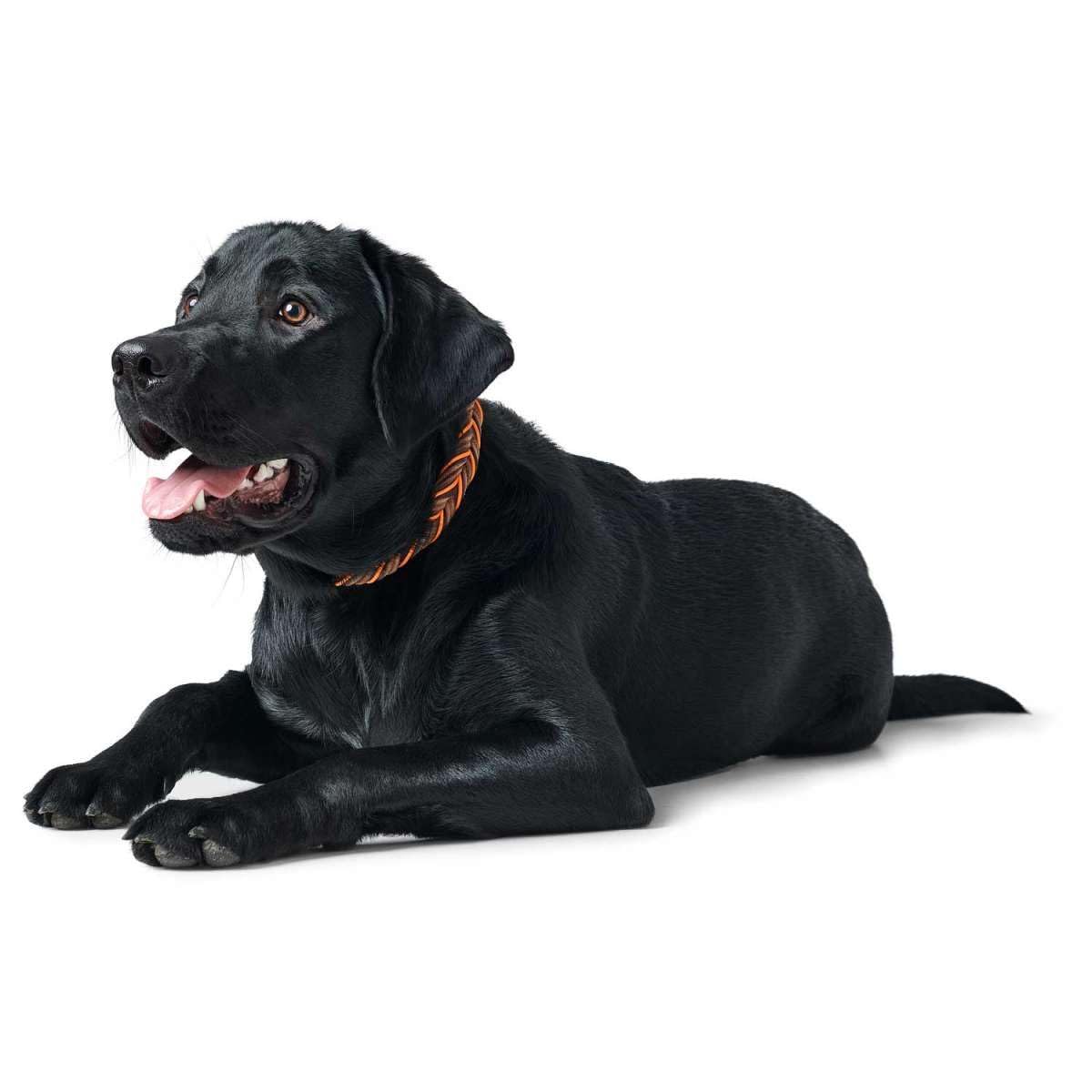 hunter-solid-education-cord-hundehalsband-gr-e-40-handgeflochtenes-rindsleder-mi image 5