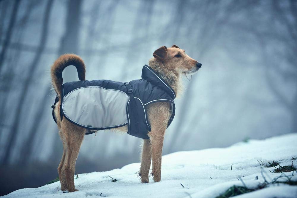 hunter-uppsala-extreme-hundemantel-gr-e-30-wintermantel-mit-3m-thinsulate-wasser image 3