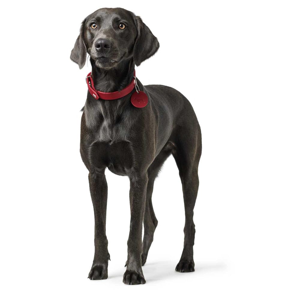 hunter-hundehalsband-aalborg-natur-leder-stark-gefettet-gr-e-32-24-29-cm-halsumf image 7