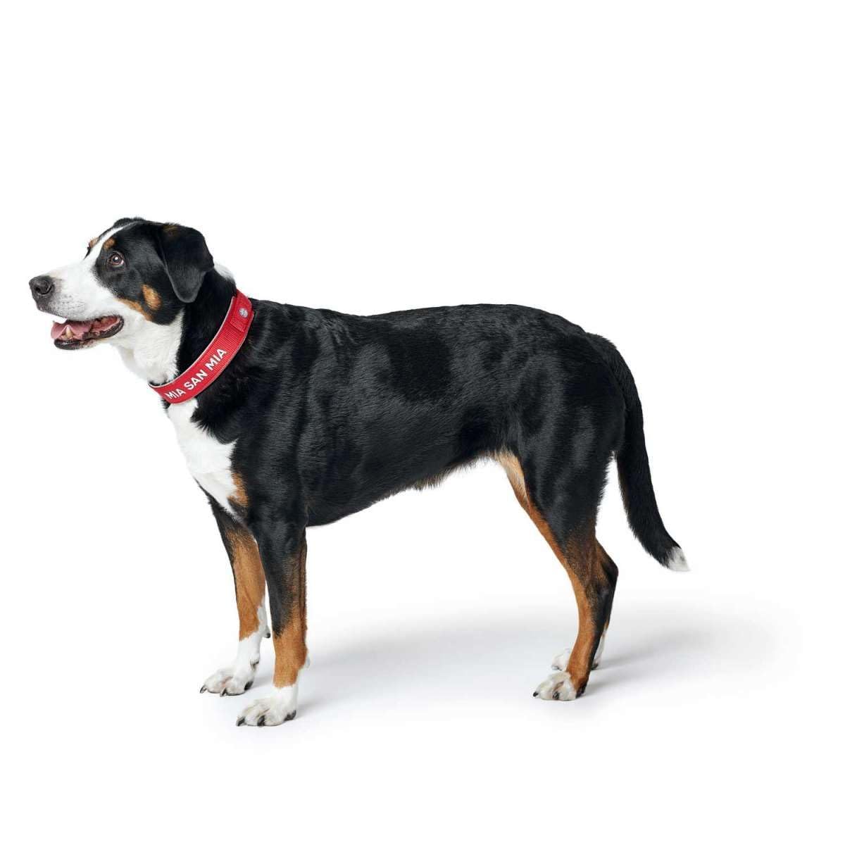 hunter-neopren-reflect-fc-bayern-m-nchen-hundehalsband-weich-gepolstert-gr-e-s-m image 6