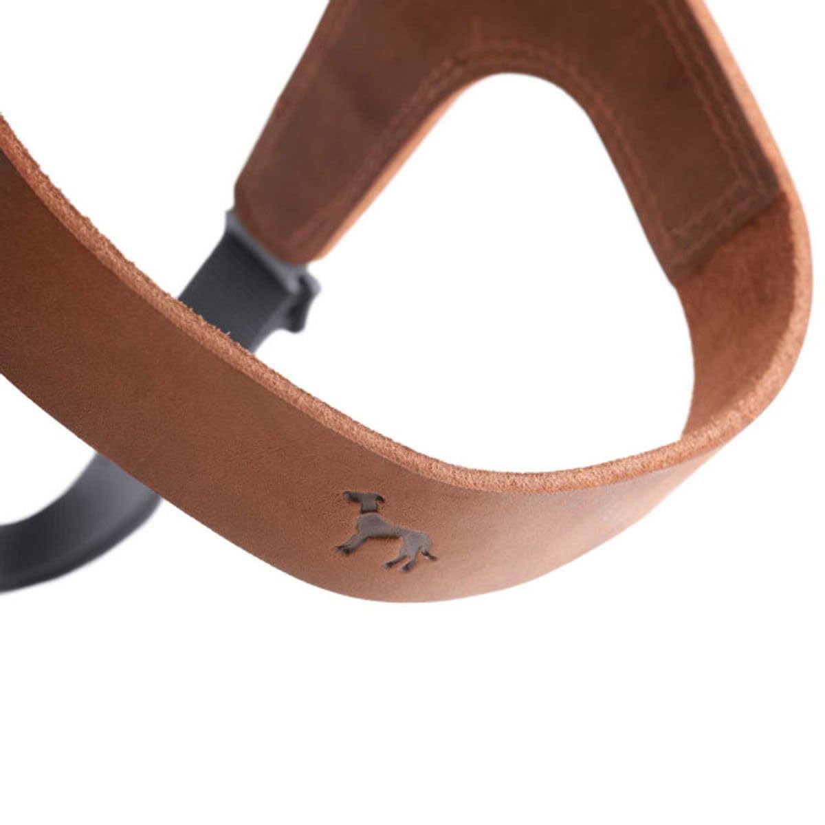 hunter-hundegeschirr-dimaro-cognac-rindsleder-step-in-design-verstellbar-made-in image 2