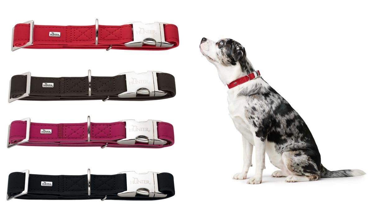 hunter-softie-alu-strong-hundehalsung-kunstleder-in-nubukoptik-mit-aluminium-ste image 2