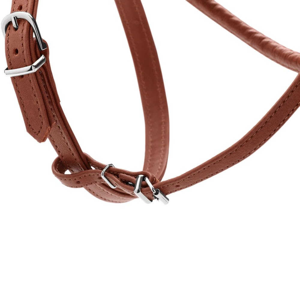 hunter-round-soft-canadian-up-hundegeschirr-weiches-leder-cognac-rundgen-ht-fell image 5