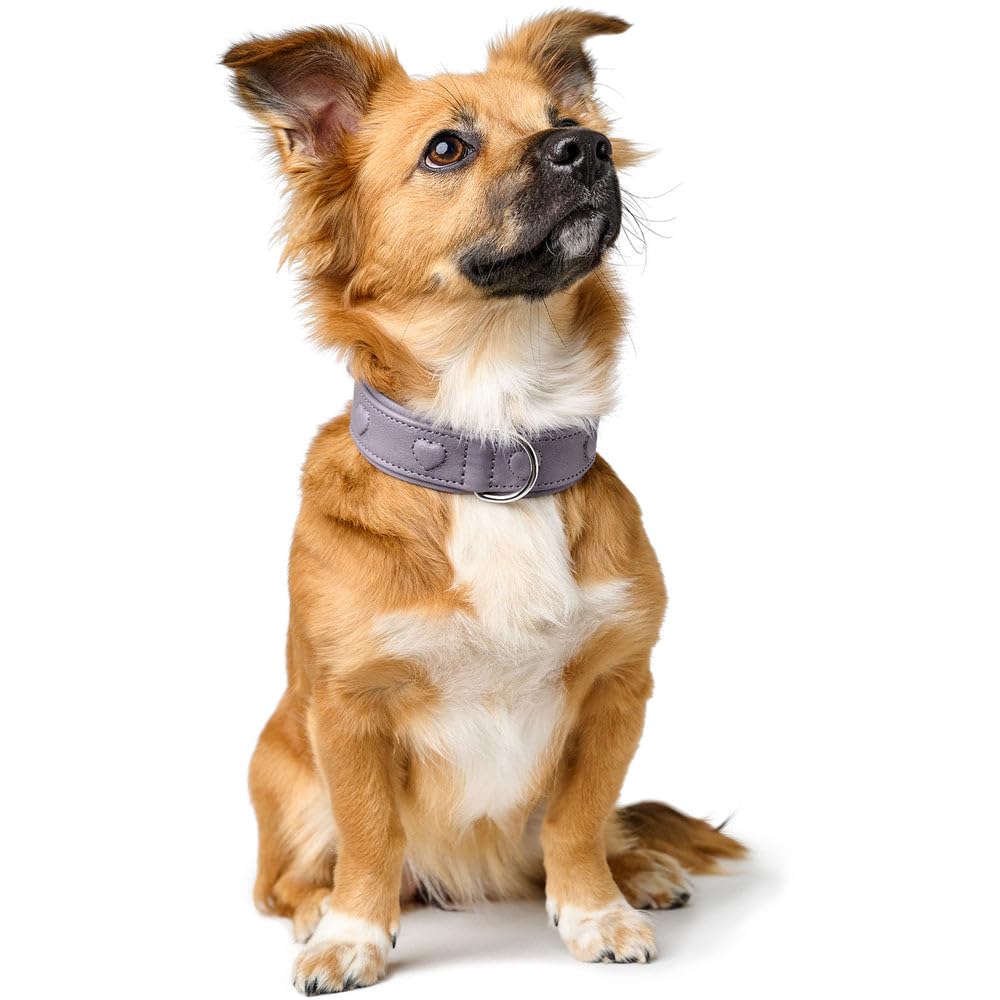 hunter-hundehalsband-soho-x-love-gr-e-32-flieder-grau-chromfreies-rindsleder-mit image 7