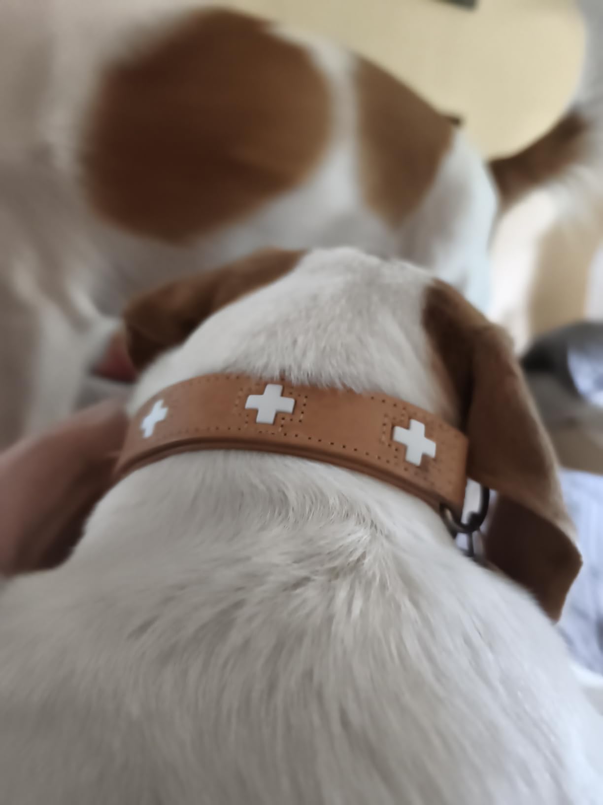 Traumhaftes Lederhalsband