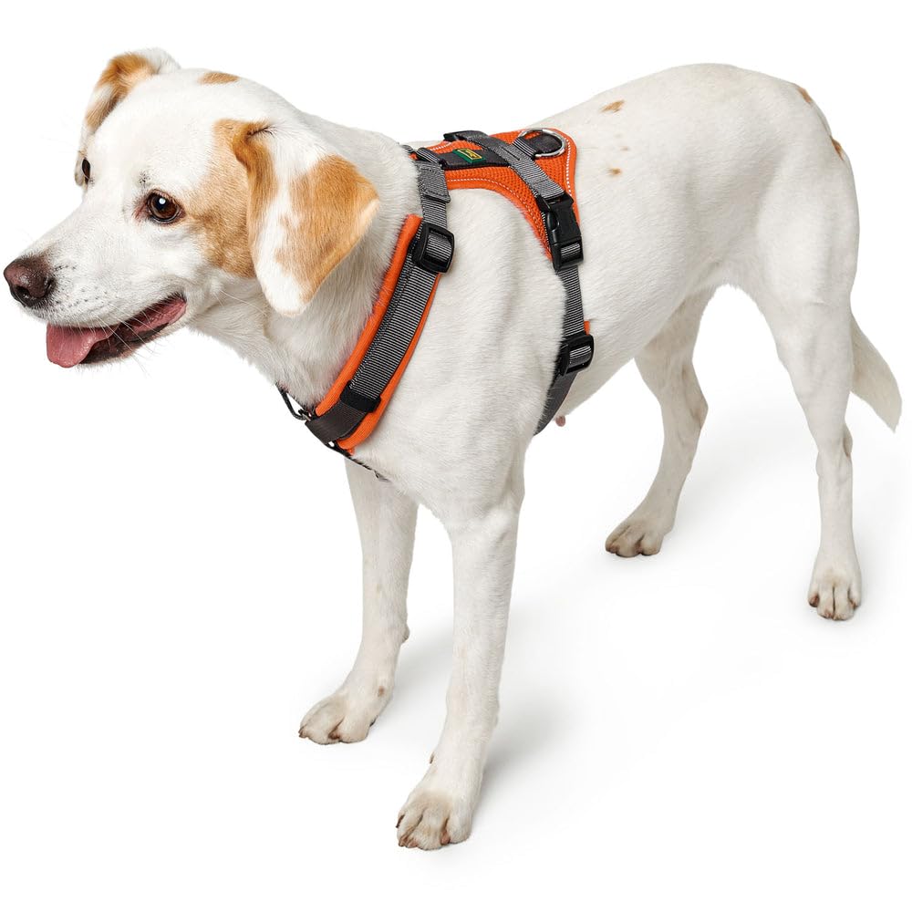 hunter-hundegeschirr-maldon-up-xs-altrosa-grau-gepolstertes-y-geschirr-mit-3m-sc image 6