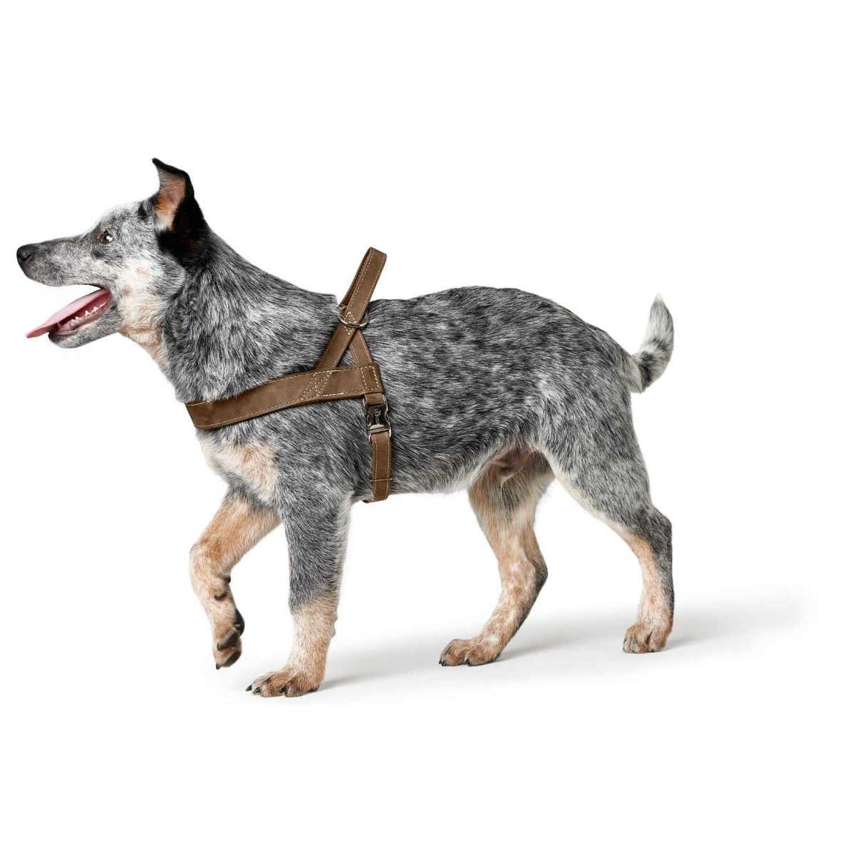hunter-norwegergeschirr-hunting-braun-weiches-leder-steckverschluss-aus-aluminiu image 2