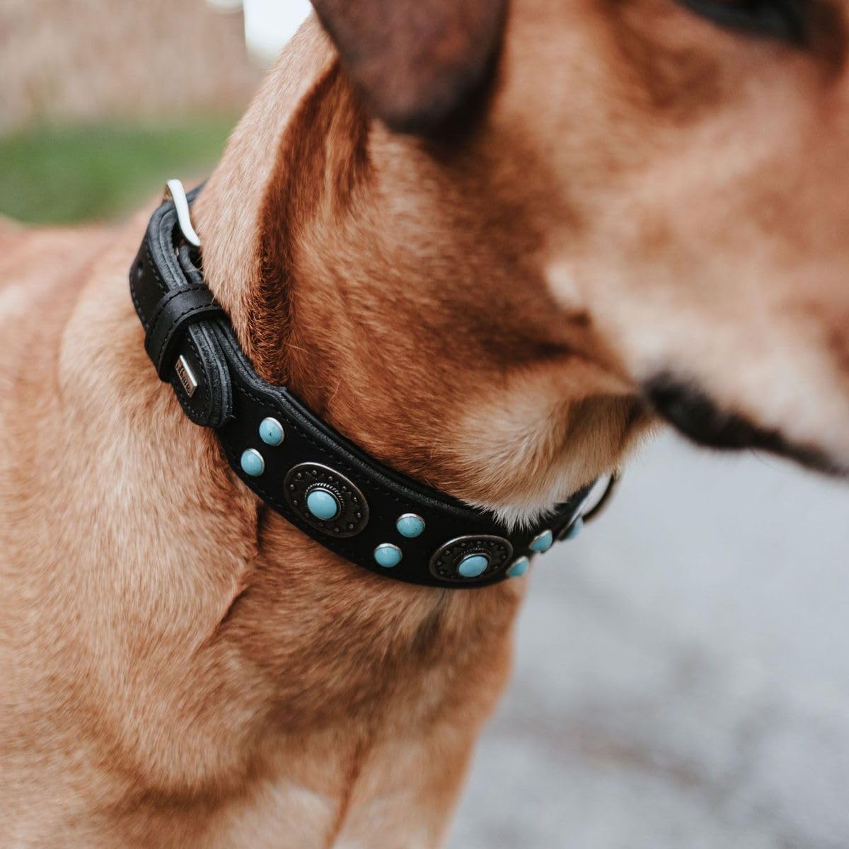 hunter-sioux-hundehalsband-schwarz-softvollrindleder-mit-indianischem-ornament-d image 8
