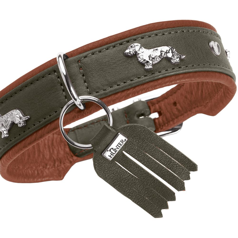 hunter-m-nchen-teckel-halsband-cognac-schwarz-chromfreies-premiumleder-dackel-ap image 5