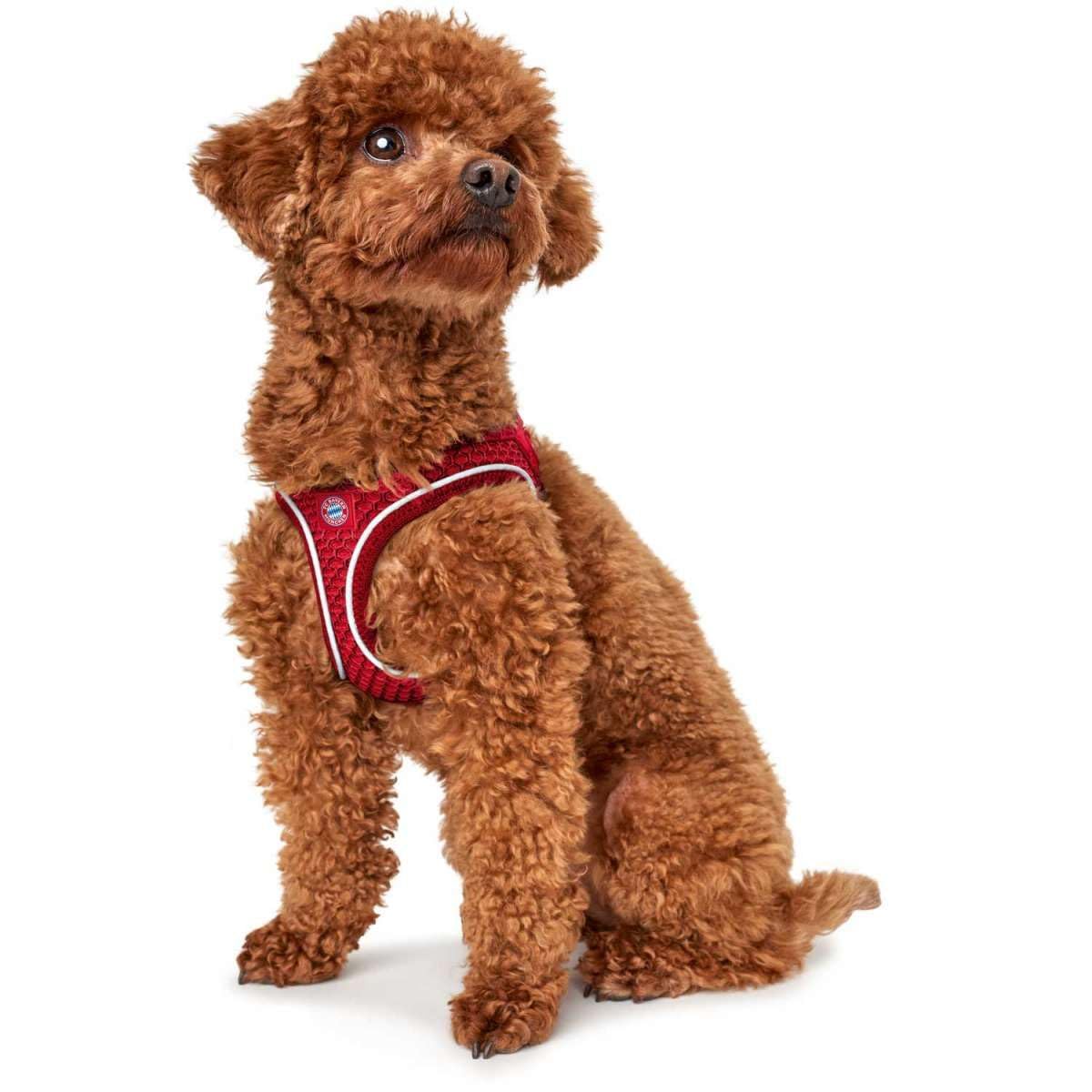 hunter-hilo-comfort-fc-bayern-m-nchen-hundegeschirr-3d-mesh-mit-k-hl-und-k-hleff image 3