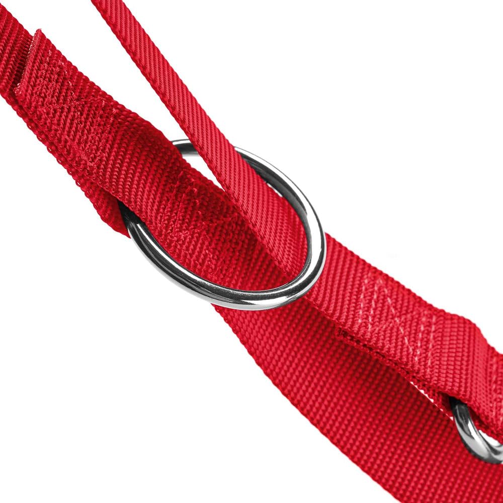 hunter-verstellbare-f-hrleine-london-hellblau-nylon-polyester-3-fach-verstellbar image 5