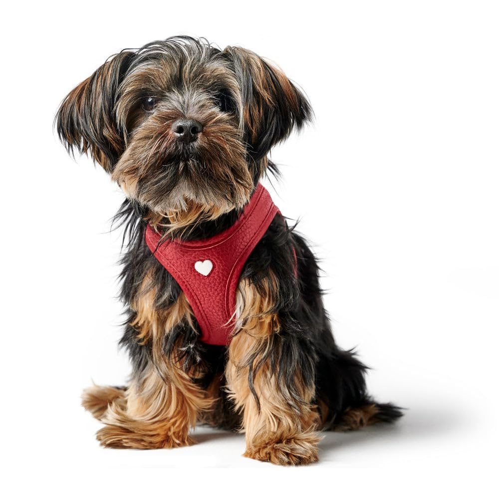 hunter-love-hundegeschirr-step-in-geschirr-aus-rindnappaleder-mit-mesh-futter-ha image 1