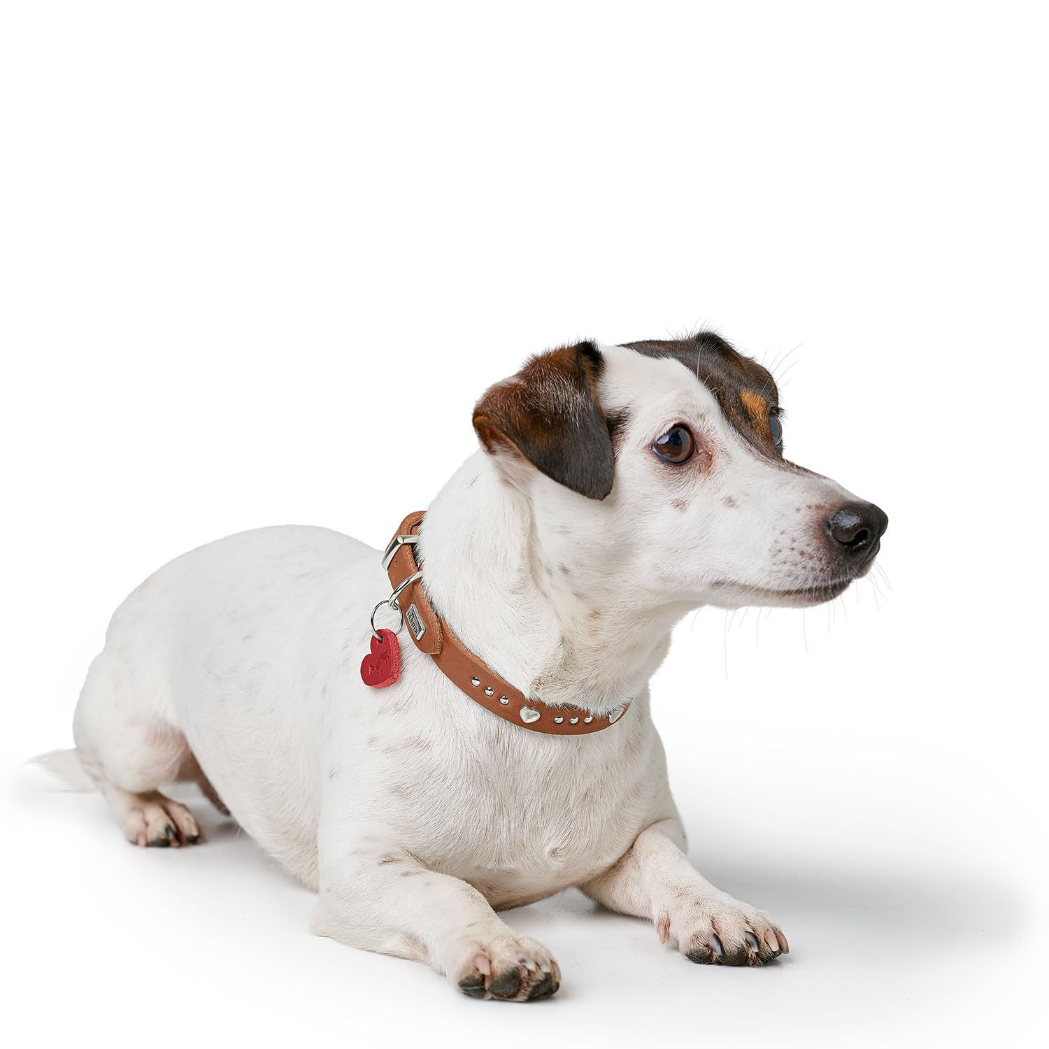 hunter-aalborg-hearts-hundehalsband-cognac-softvollrindleder-mit-nieten-herz-det image 7